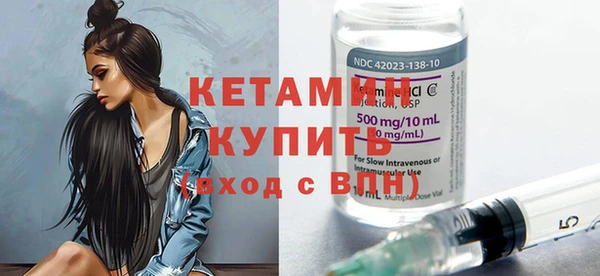 сатива Новозыбков