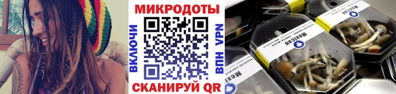 где найти   Орехово-Зуево  Галлюциногенные грибы MAGIC MUSHROOMS 